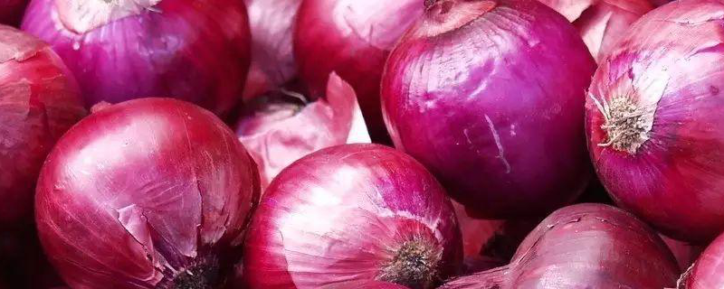 洋葱什么时候传入中国的 洋葱是什么时候传到中国的