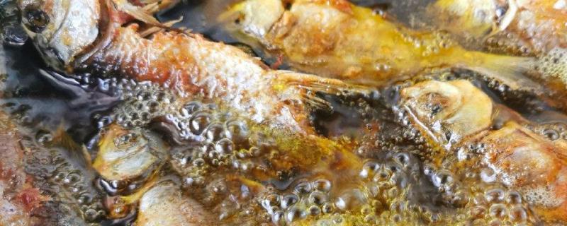 春天蚯蚓钓鲫鱼技巧及注意事项，钓位怎样选择