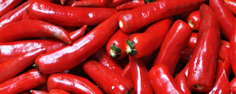 辣椒灰霉病防治方法，症状有哪些（辣椒灰霉病发病原因）