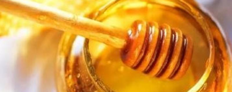 葵花蜜价格多少钱一斤,附产地分布和营养价值