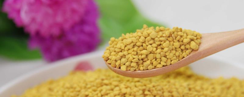 茶花粉和菜花粉哪个好,附区别 茶花粉和油菜花粉区别