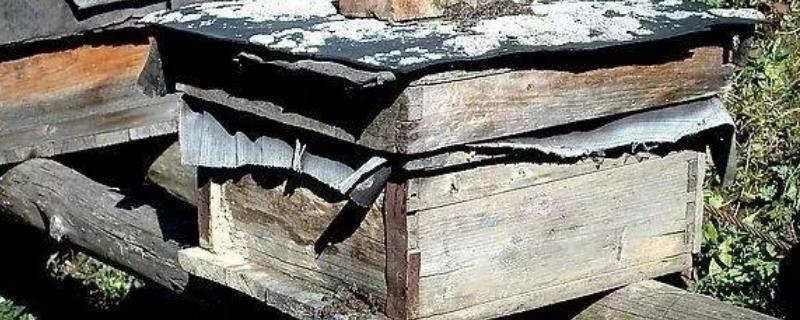 蜂箱为什么要盖覆布,附具体说明(蜂箱的覆布放在什么上面)