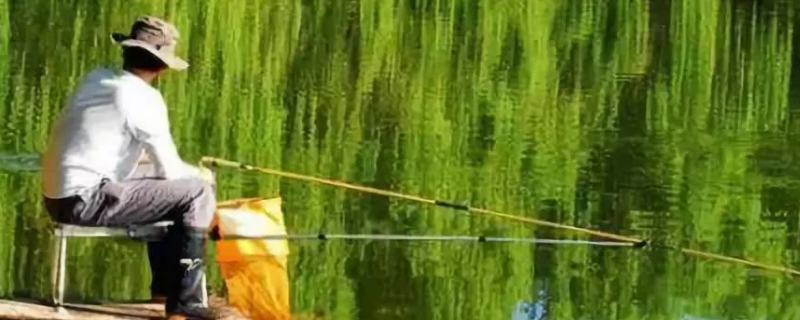 野钓用什么饵料好 立秋野钓用什么饵料好