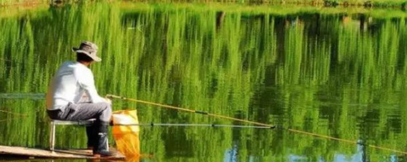 春天几月份钓鱼最好（春季什么时间钓鱼最好）