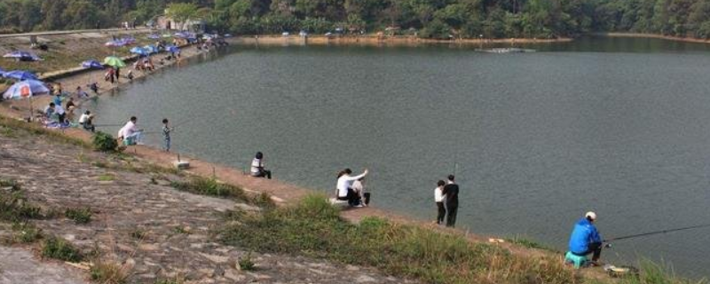 初春在水库里能钓鱼吗（初春在水库里能钓鱼吗钓多深）