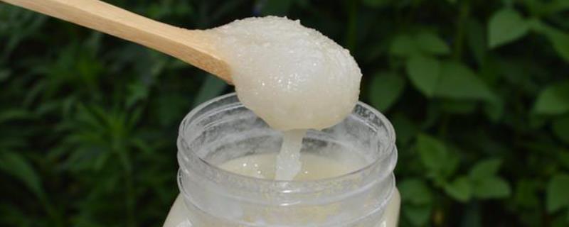 苕子蜜（苕子蜜的作用与功效）