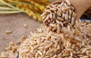 燕麦米怎么煮 燕麦米怎么煮饭松软