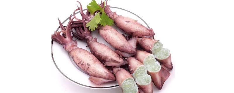 鱿鱼产地在哪里，有什么营养价值（鱿鱼产地在哪里,有什么营养价值高）