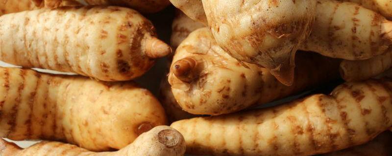 天麻多少钱一斤（天麻的价格一斤多少钱）