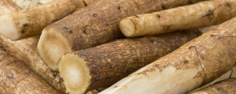 牛蒡和山药有什么区别 牛蒡和山药有什么区别和功效