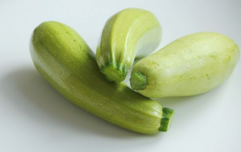 茄瓜是西葫芦吗 西葫芦是茄瓜吗?