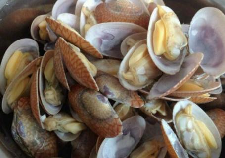 花甲淡水还是海水 花甲生活在淡水湖还是海里