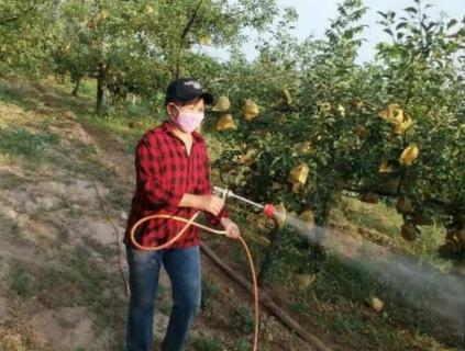 保美灵有什么作用 保美灵有什么作用吗