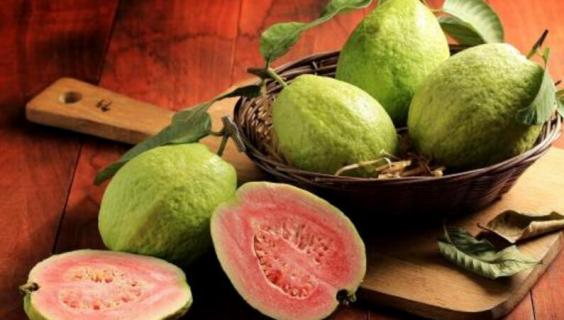 番石榴产地（福建番石榴产地）