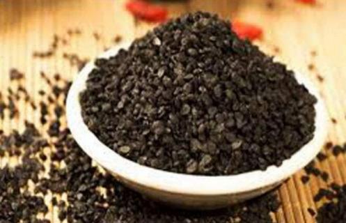 菲菜种子什么时候种（菲菜种子什么时候种植最好）