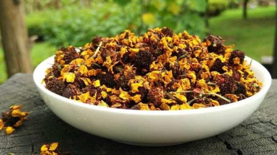 菊花茶和胎菊有啥区别（胎菊和菊花茶的功效与作用是什么）