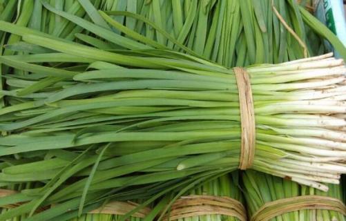 4月份种什么青菜（4月份种什么青菜好）