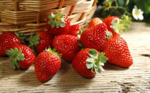 草莓发芽后怎么移栽 草莓发芽后怎么移栽老苗怎么处理