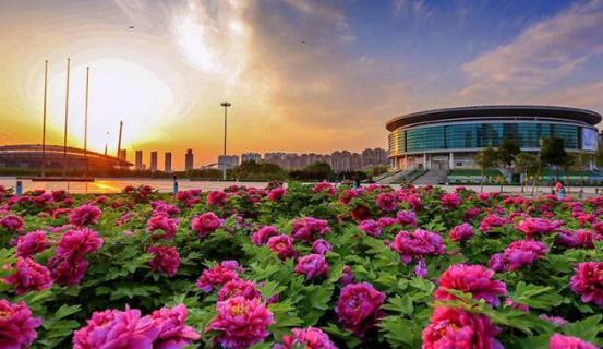 牡丹文化节时间（牡丹文化节时间2022）