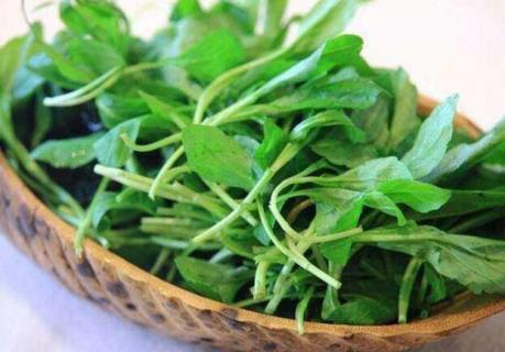 马兰头是什么菜（马兰头是什么菜长得什么样）