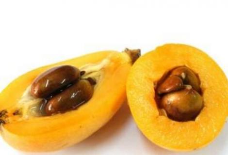 枇杷核怎么种植（枇杷核怎么种植?）