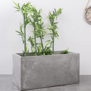 适合长方形花盆的植物 适合长方形花盆的花卉