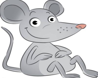 老鼠偷拖鞋的含义（老鼠偷拖鞋的含义和故事）