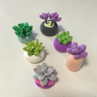 多肉葡萄怎么养殖 多肉葡萄养殖方法