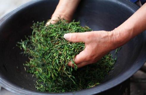 家庭如何炒茶（家庭如何炒茶视频）