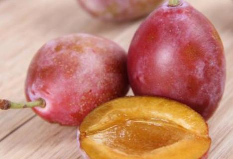 像李子一样很贵的水果（像李子一样很贵的水果是什么）