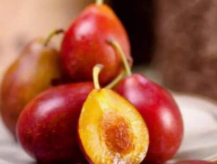 像李子似的水果叫什么 像李子一样的水果是什么