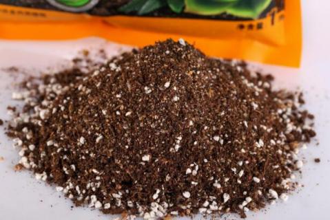 自制多肉营养土 怎样自制多肉营养土