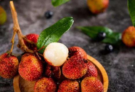 荔枝核怎么种 荔枝核怎么种出粉色叶子