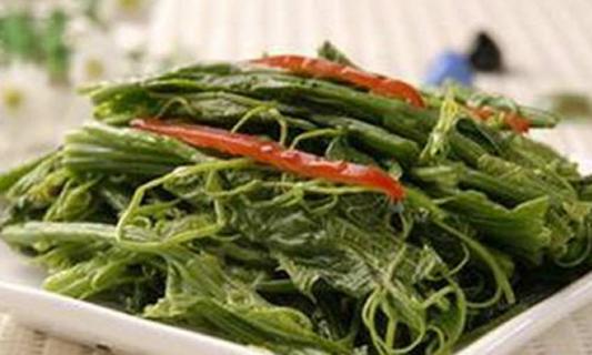 广东菜野菜的功效是什么（山野菜广东菜的功效）