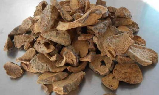 肉荣是什么药材（之肉是什么药材）