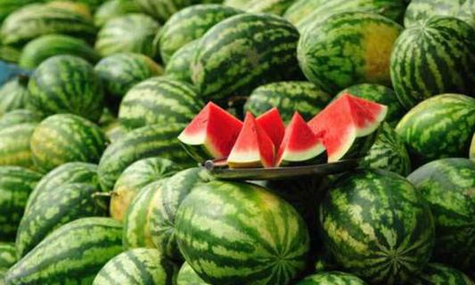 西瓜五月份种迟吗 农历五月种西瓜会不会太晚