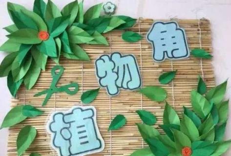 植物角区域规则（植物角区域规则图片）