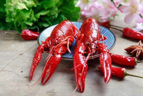 龙虾煮多久才能杀死寄生虫（龙虾煮多久才能杀死寄生虫卵）