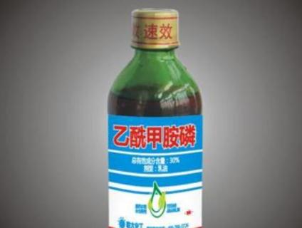 乙酰甲胺磷杀什么虫（乙酰甲胺磷治什么虫）