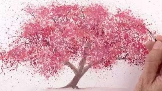 樱花树能插活吗 樱花树能插活吗能活几年