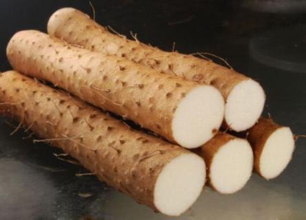 山药怎么水养 山药怎么水培种植