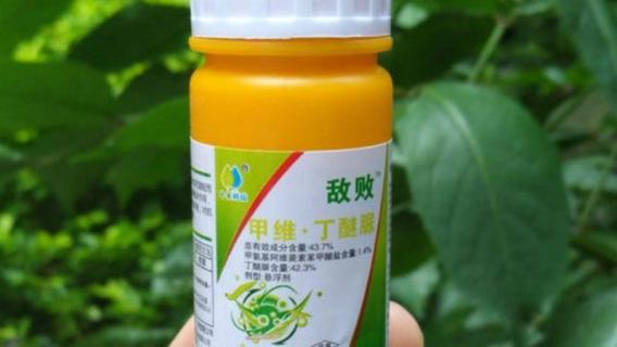 丁醚脲杀什么虫 丁醚脲杀什么虫使用方法丁醚脲使用注意事项适合作物