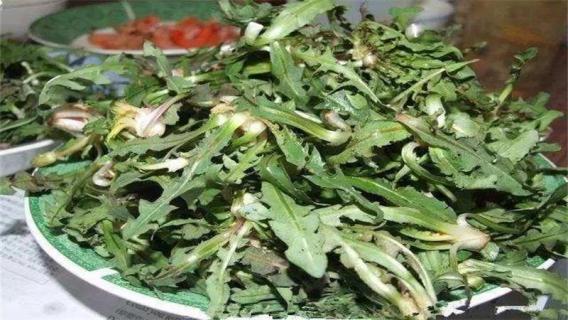 苦苣和甜苣的区别 苦苣和甜苣有啥不同