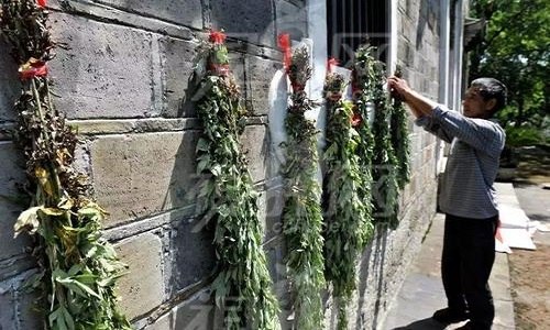 在端午插艾草菖蒲是为什么（端午节挂菖蒲和艾草是什么意思）