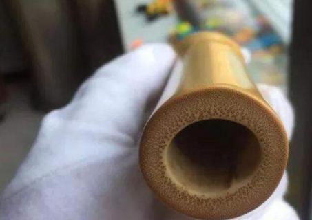 竹子有实心的吗 竹子有实心的吗有毒吗