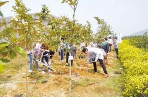 秋天种树能活吗（北方秋天种树能活吗）