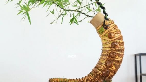 簕竹根怎样发芽快（簕竹如何让它快速长芽）