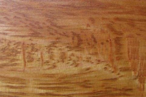 稠木是什么树（稠木是什么木材）