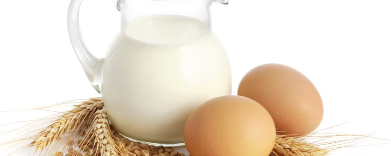 牛奶和鸡蛋能一起吃吗 香蕉牛奶和鸡蛋能一起吃吗
