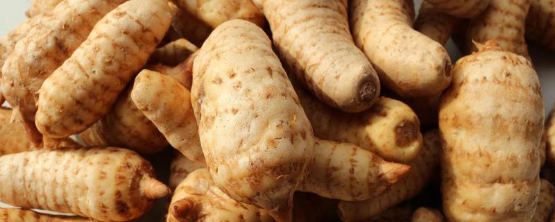 天麻产地哪里，附天麻的产地环境 天麻主产区在哪里